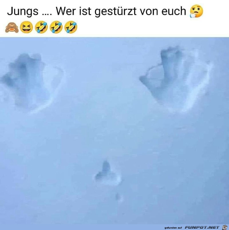 Wer von den Jungs ist gestrzt?