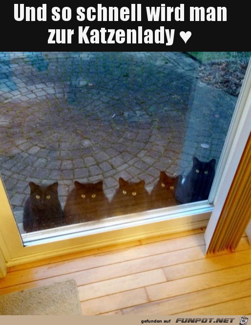 Katzenlady