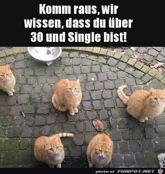 Komm raus