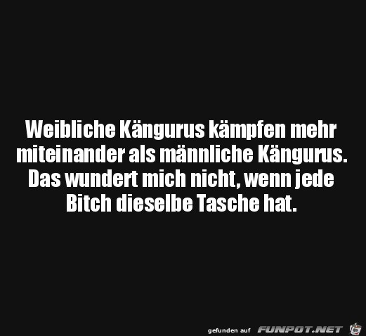 Weibliche Kngurus