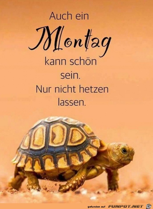 Montag