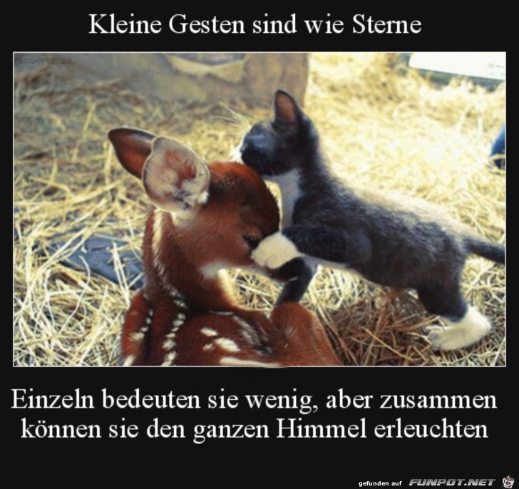 Kleine Gesten