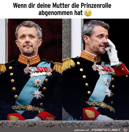 Die Prinzenrolle