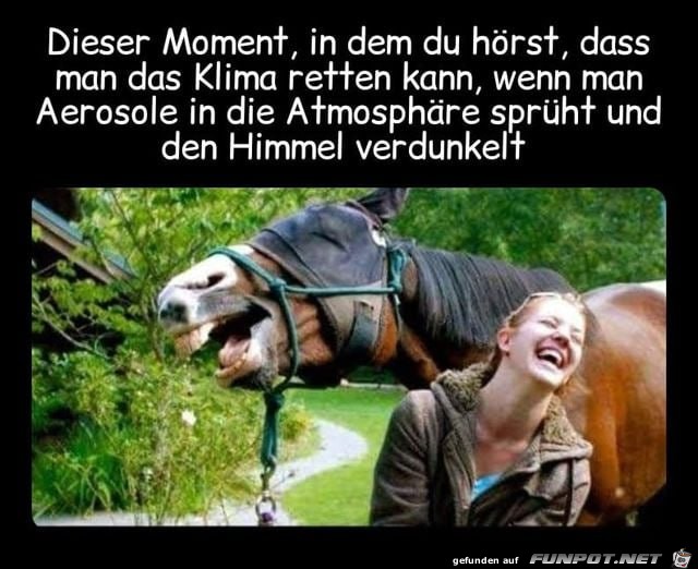 Dieser Moment