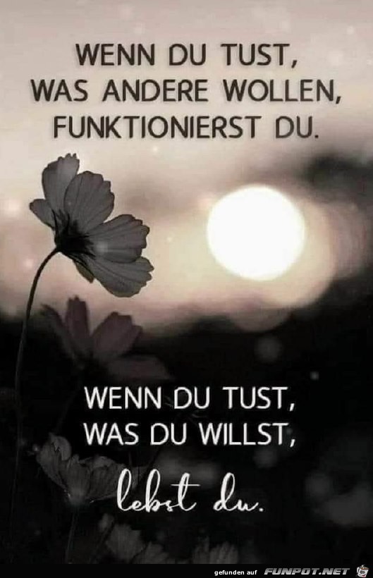 Tu was du willst