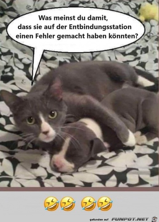 Fehler gemacht