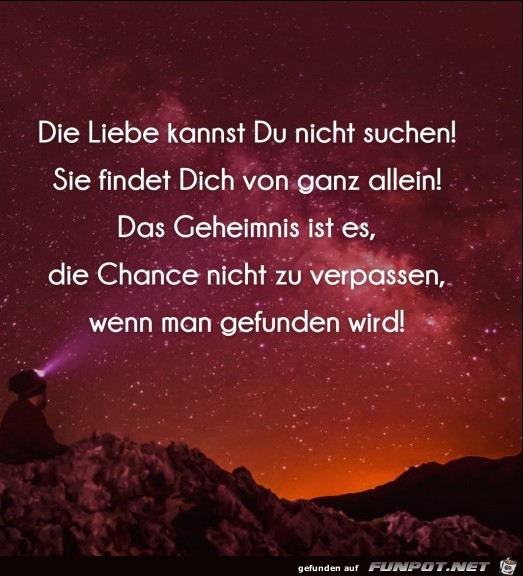 Die Liebe kannst du nicht suchen