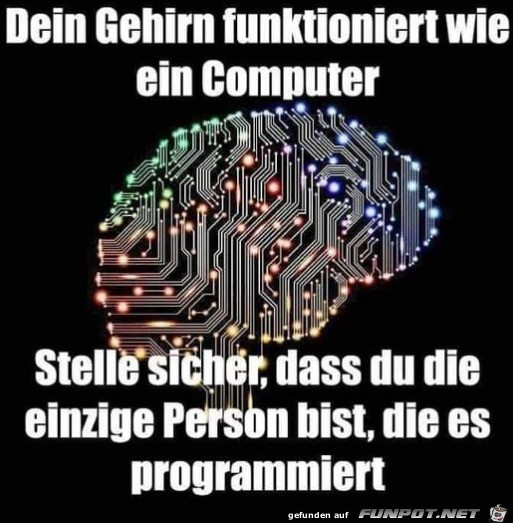 Dein Gehirn Dein Gehirn