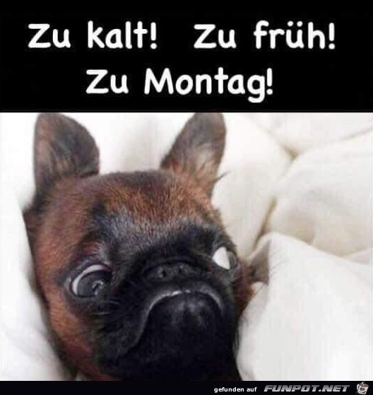 Zu Montag