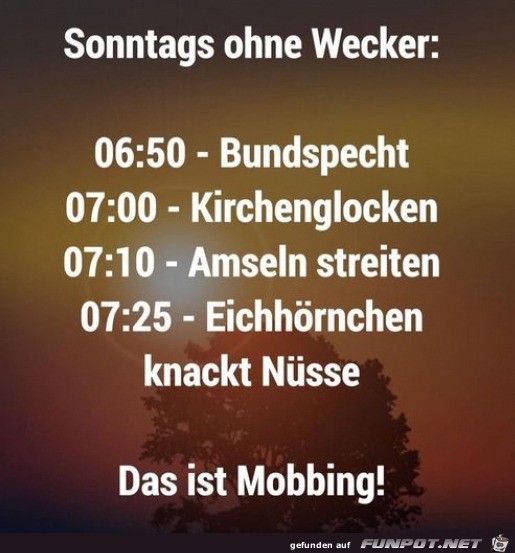 Sonntags ohne Wecker Sonntags ohne Wecker