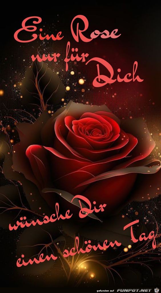 Eine Rose nur fr dich