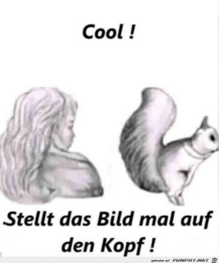 Cooles Bild