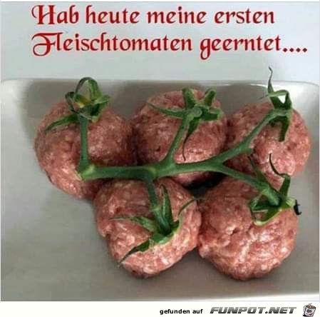 Fleischtomaten