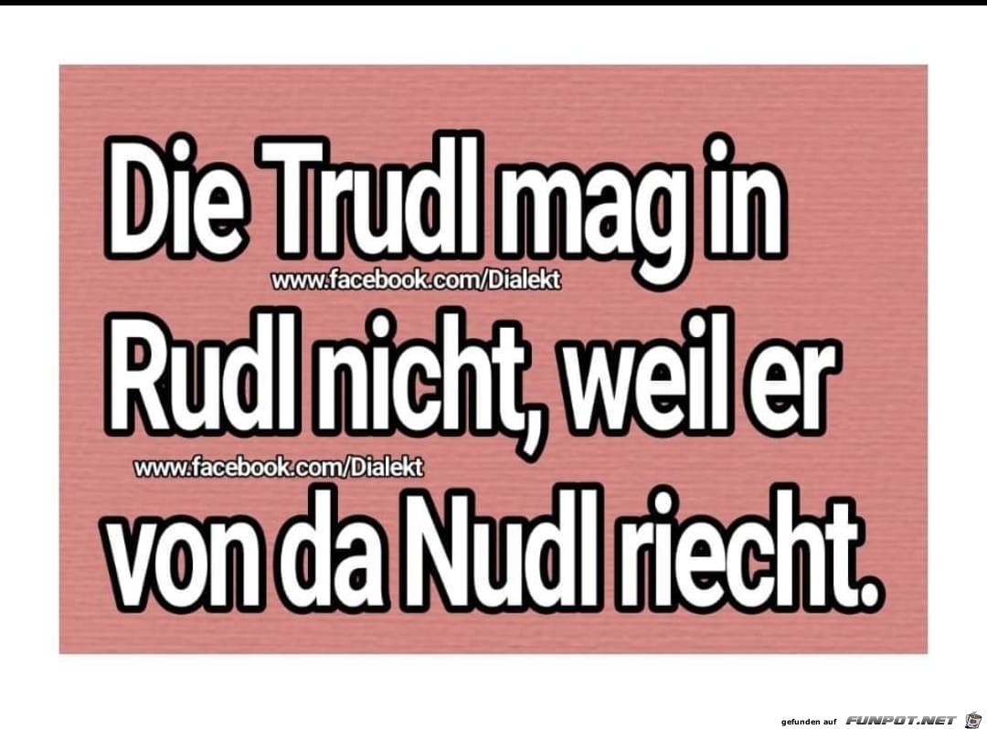 Die Nudl von Rudi