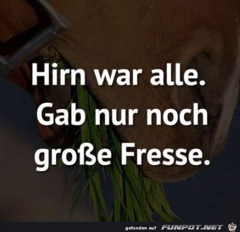 Hirn war alle