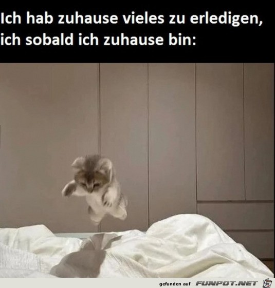 Wenn ich nach Hause komme