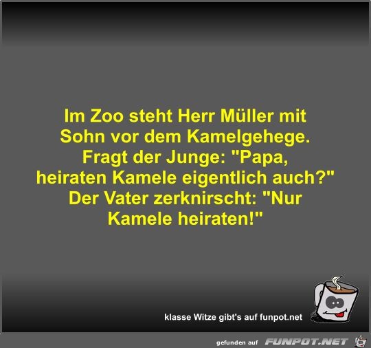 Im Zoo steht Herr Müller mit Sohn vor dem Kamelgehege