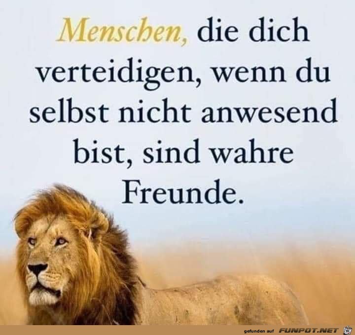 Menschen, die dich verteidigen