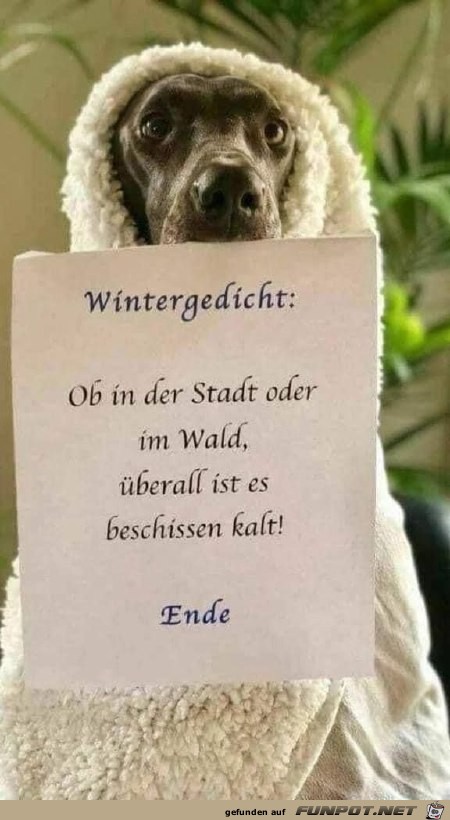 Wintergedicht