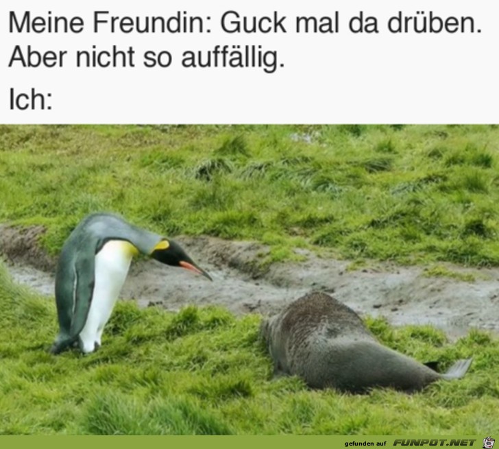 Guck mal unaufflig