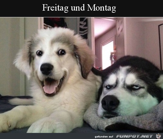 Freitag und Montag