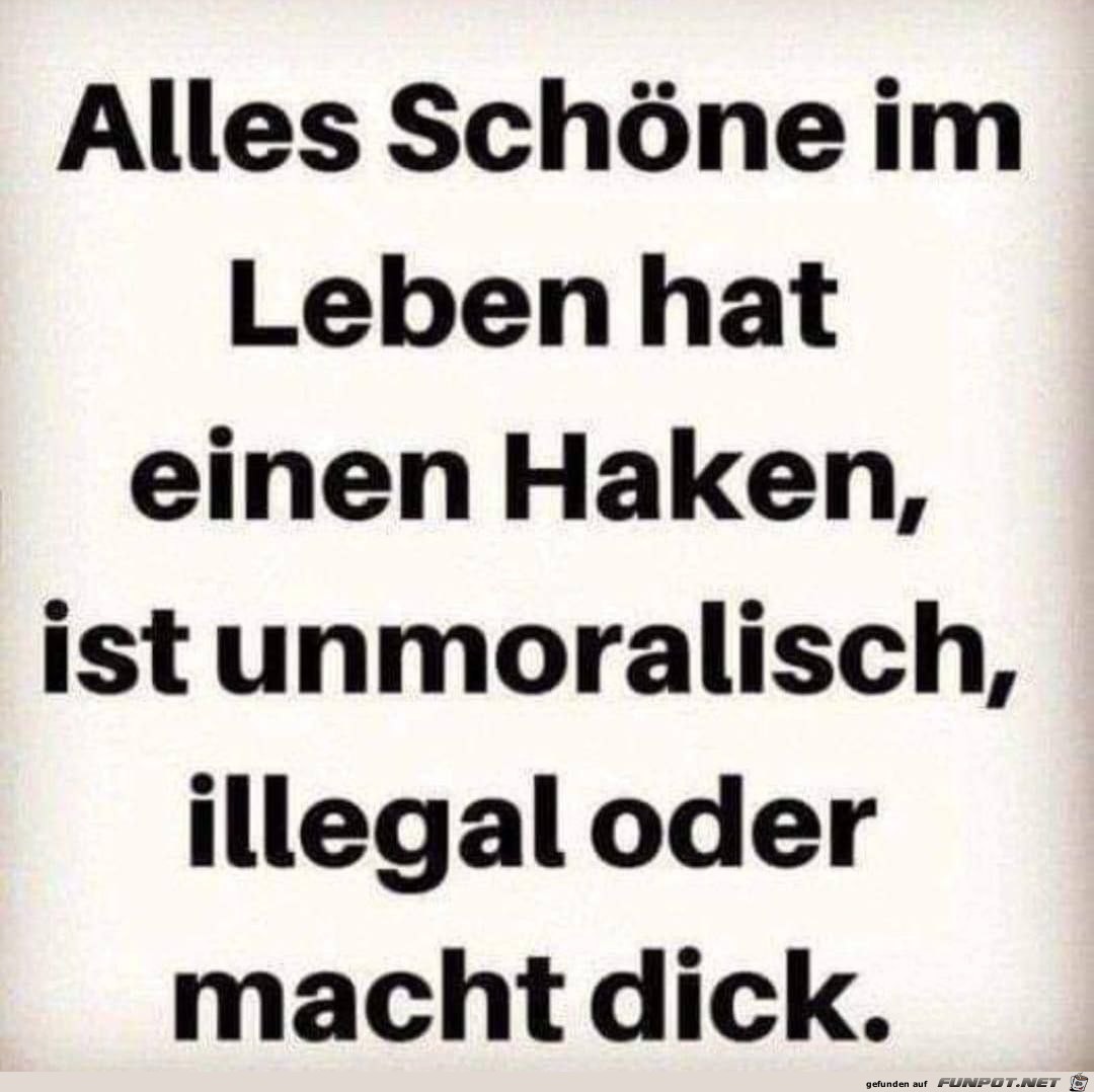 Alles Schne im Leben