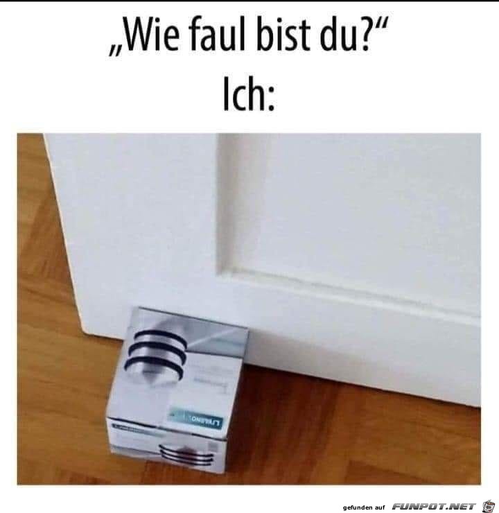 Wie Faul bist du?