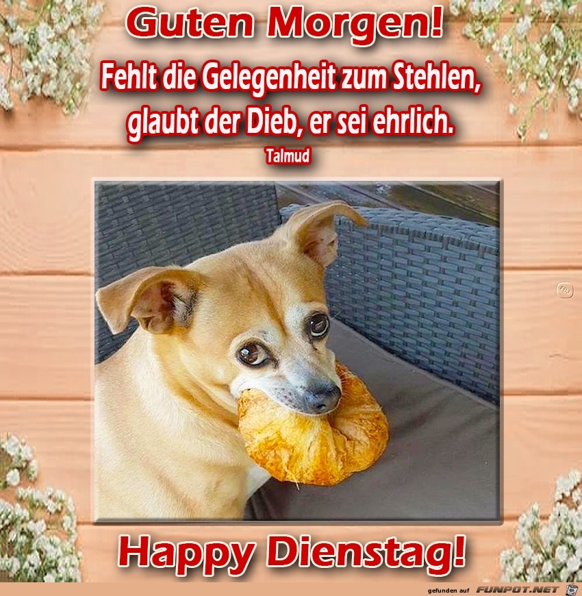 Dienstag