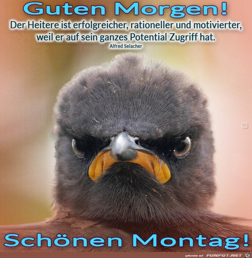 Montag