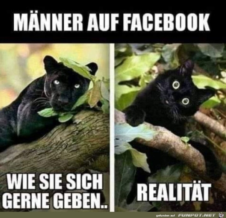 Mnner auf Facebook