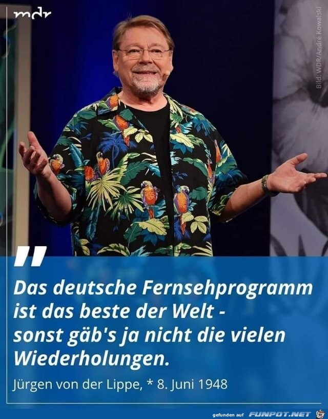 Fernsehprogramm