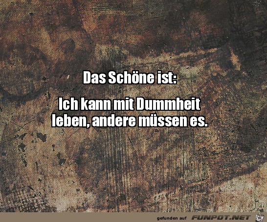 Das Schne ist