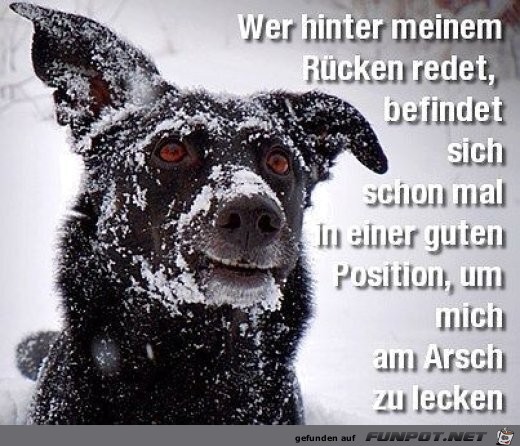 Hinter meinem Rcken