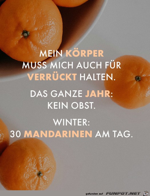 Mandarinen im Winter