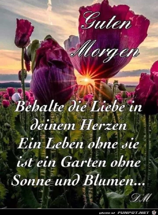 Die Liebe im Herzen