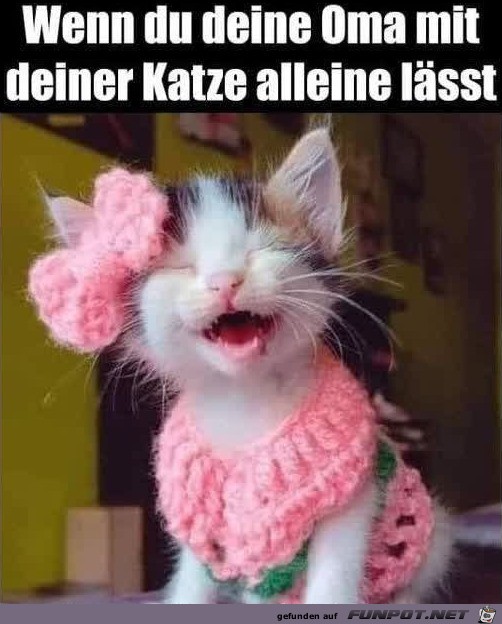 Katze war bei Oma