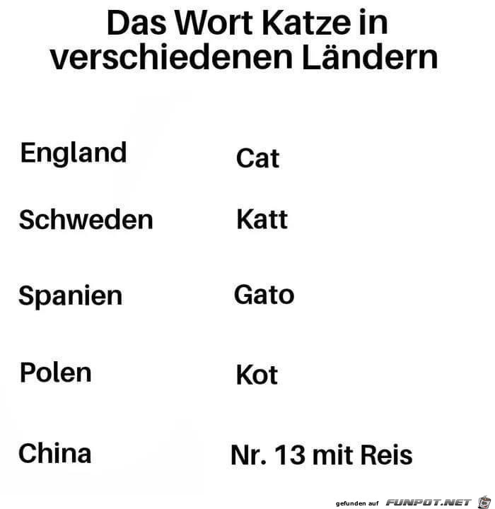 Das Wort Katze