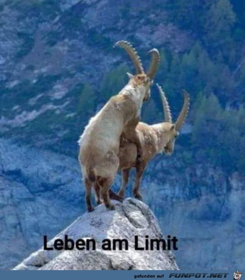 Leben am Limit