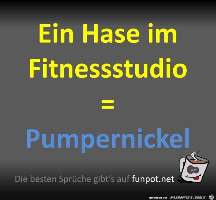 Hase im Fitnessstudio