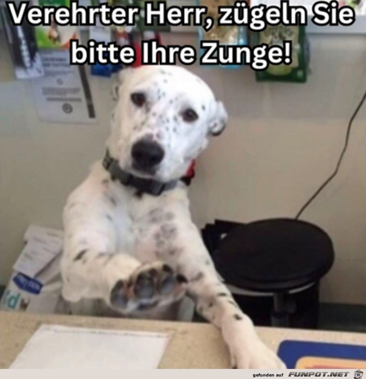 witzige Bilder aus verschiedenen Blogs