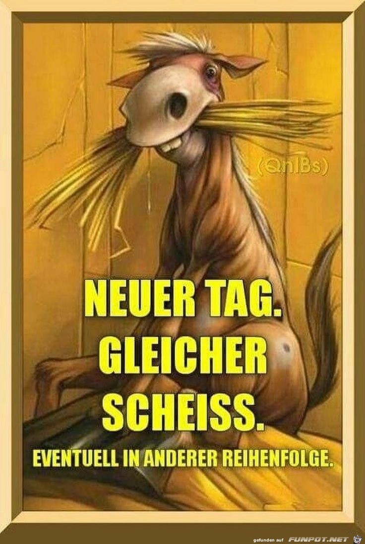 Neuer Tag. Gleiche Scheisse. Neuer Tag. Gleiche Scheisse.