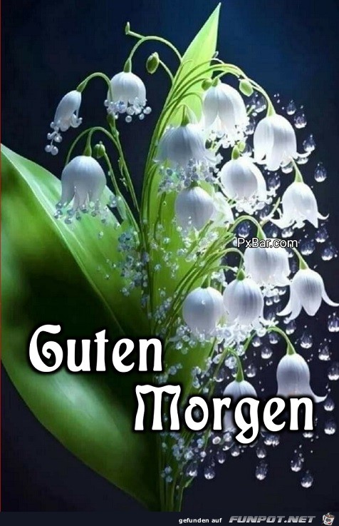 Lasse die Blumen sprechen