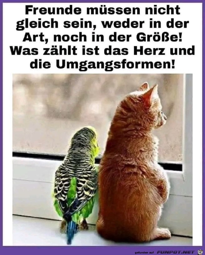 Das ist richtig