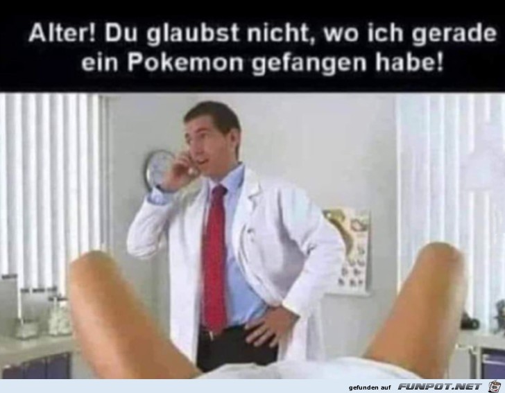 Pokemon gefangen