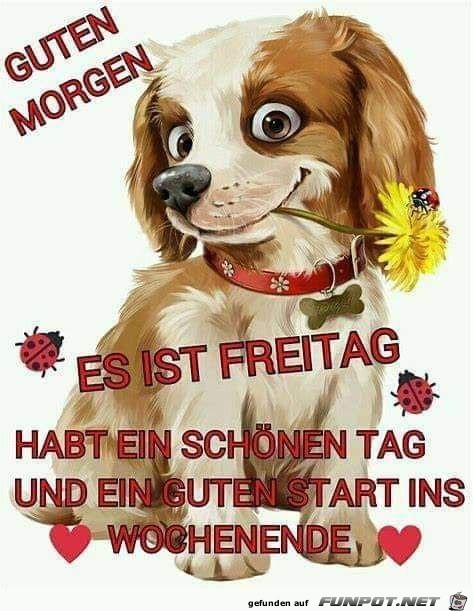 Es ist Freitag