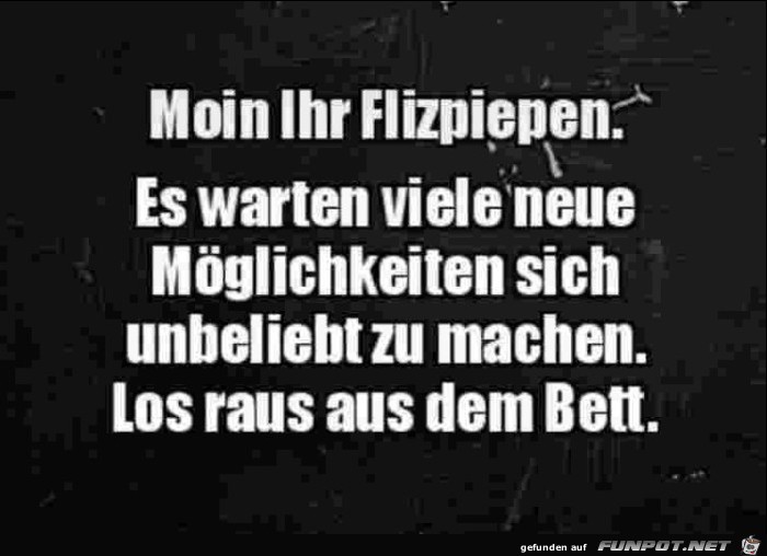 Moin