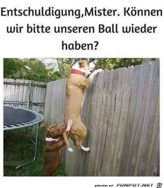 Knnten wir den Ball wieder haben?