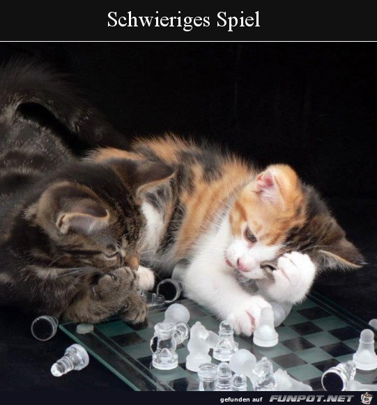 Schwieriges Spiel