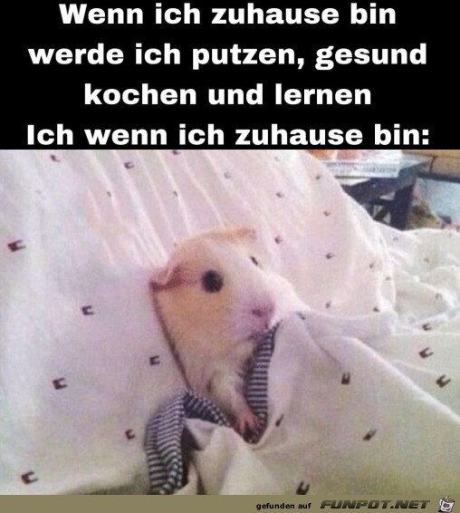 Wenn ich zuhause bin