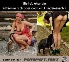 Bist du eher ein Katzenmensch oder doch ein Hundemensch?